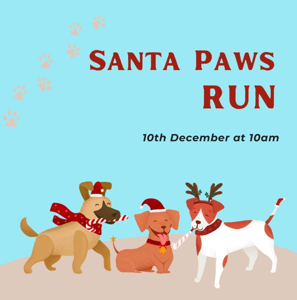 Santa Paws Run at Royal Victoria Country Park - Sunday 10th December 2023