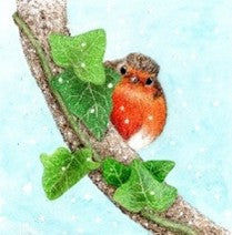Sir Harold Hillier Gardens - Robin with Ivy in Colour Pencil – Christmas Card Art Workshop - Saturday 17th October 2026 - 10.00am