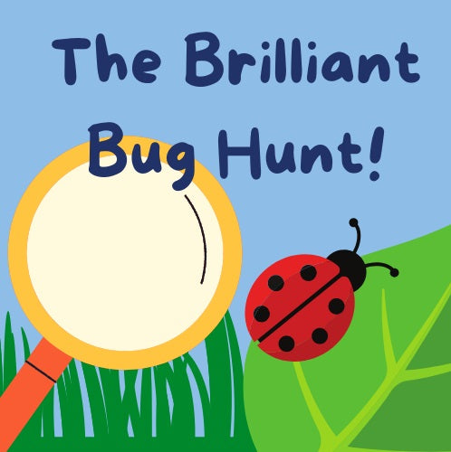 The Brilliant Bug Hunt at Staunton Country Park - Friday 5th April 2024