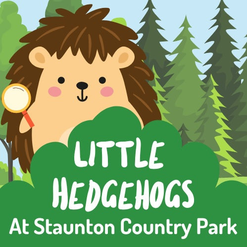 Little Hedgehogs at Staunton Country Park - Summer Term - Monday 2nd, 16th, 23rd June, 7th and 14th July 2025 - 10.30am