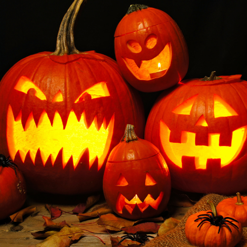 Pumpkin Carving at Staunton Country Park - Wednesday 29th October 2025