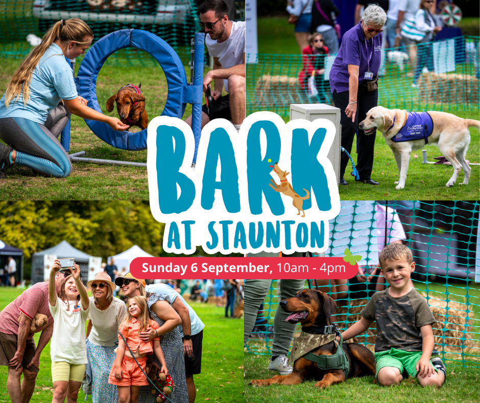 Bark at Staunton Country Park - Stallholder Payment - Sunday 6th September 2026 - 10.00am