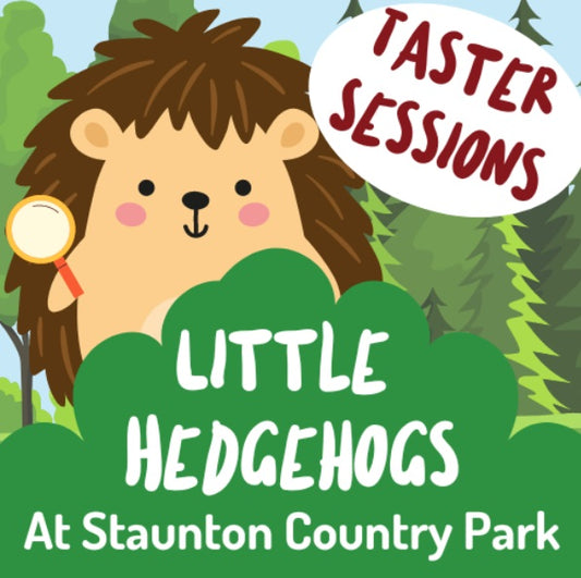 Little Hedgehogs at Staunton Country Park - Spring Term (TASTER SESSION) - Monday 3rd, 17th and 31st March 2025 - 10.30am