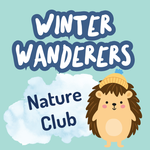 Winter Wanderers at Staunton Country Park - Monday 5th, 19th January or 2nd February 2026 - 10.30am