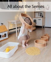 NEW! All about the Senses