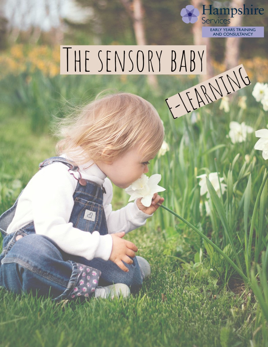 Academies and Independent Schools in Hampshire, Providers from Outside Hampshire and Other Organisations - Babies & Toddlers E-Learning: The Sensory Baby