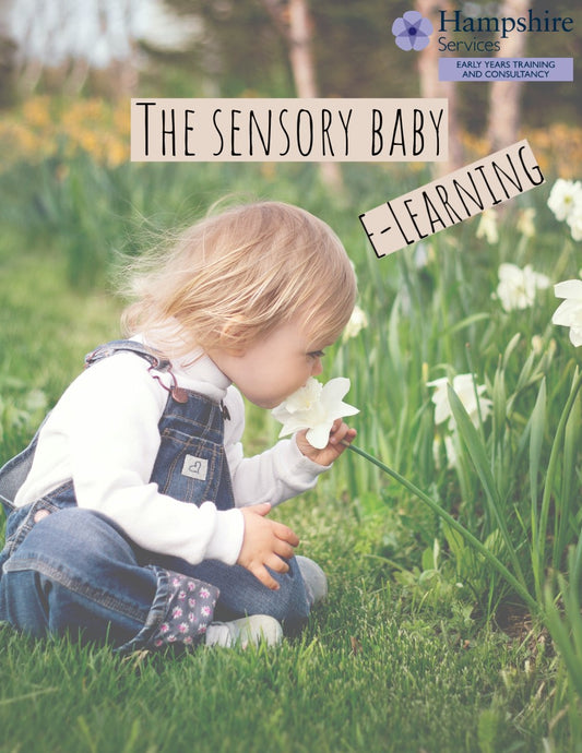 Early Years, Childcare Settings and Childminders in Hampshire - Babies & Toddlers E-Learning: The Sensory Baby