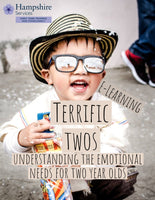 Babies and Toddlers E-Learning - Terrific Twos