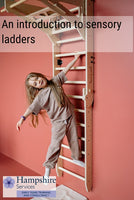 NEW! An introduction to sensory ladders