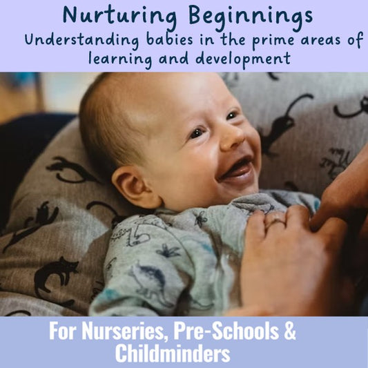 Hampshire Maintained Schools and Nurseries - Nurturing Beginnings: Understanding babies in the prime areas of learning and development