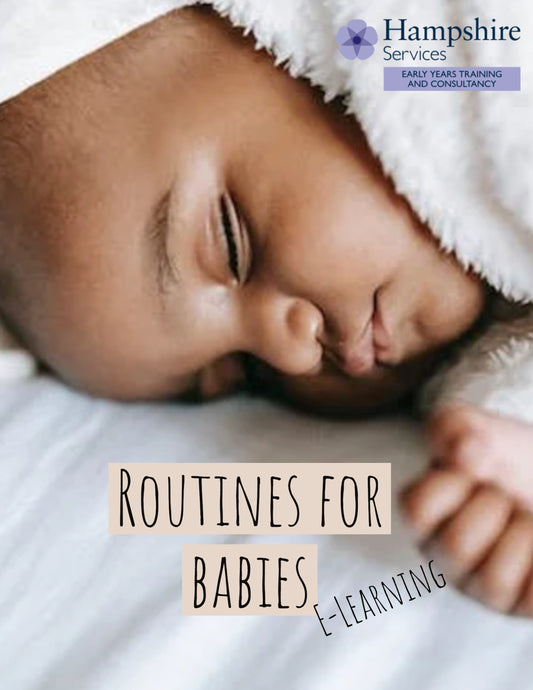 Early Years, Childcare Settings and Childminders in Hampshire - Babies and Toddlers E-Learning - Understanding the personal care routines of babies and toddlers