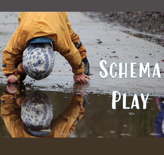 Hampshire Maintained Schools and Nurseries - NEW! Schema Play Self-Guided Learning