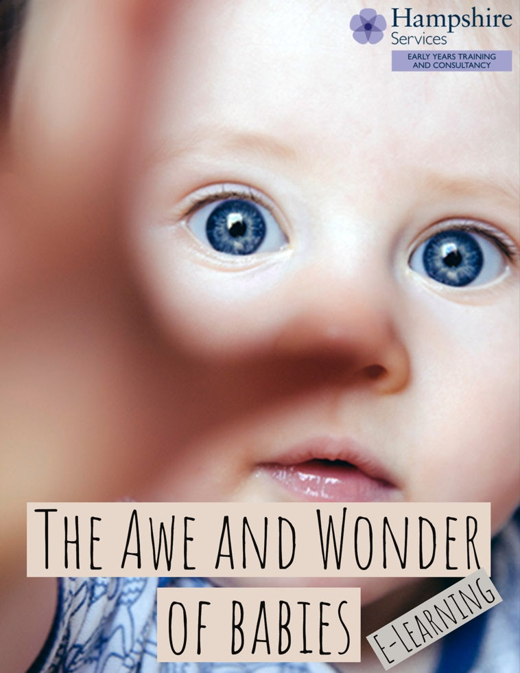 Academies and Independent Schools in Hampshire, Providers from Outside Hampshire and Other Organisations - Babies and Toddlers E-Learning - The Awe and Wonder of Babies