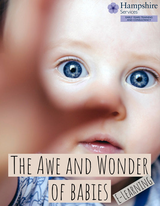 Hampshire Maintained Schools and Nurseries - Babies and Toddlers E-Learning - The Awe and Wonder of Babies