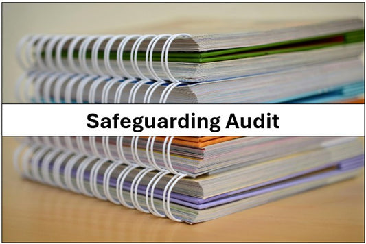 Academies and Independent Schools in Hampshire, Providers from Outside Hampshire and Other Organisations - Safeguarding Audit
