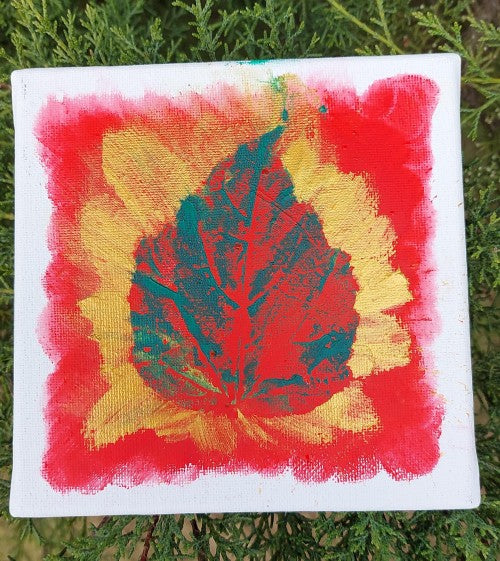 Sir Harold Hillier Gardens - Children’s Christmas Crafts - Saturday 12th December 2026 - 10.00am