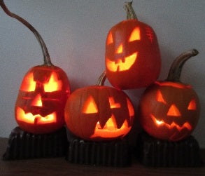 Sir Harold Hillier Gardens - Family Pumpkin Carving - Wed 29th, Thurs 30th and Fri 31st October 2025