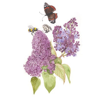 Sir Harold Hillier Gardens - Botanical Workshop - Painting Flowers and their Pollinators - Sunday 19th May 2024