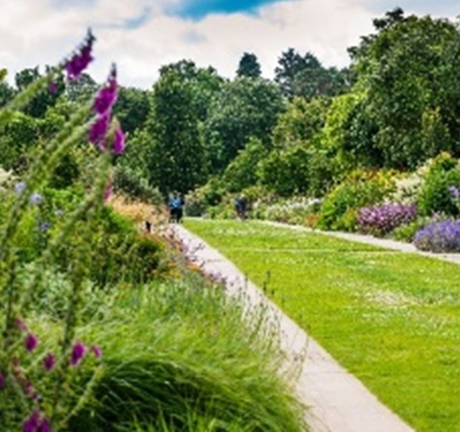 Sir Harold Hillier Gardens - Masterclass: Perennial Borders - Thursday 24th July 2025 - 9.45am