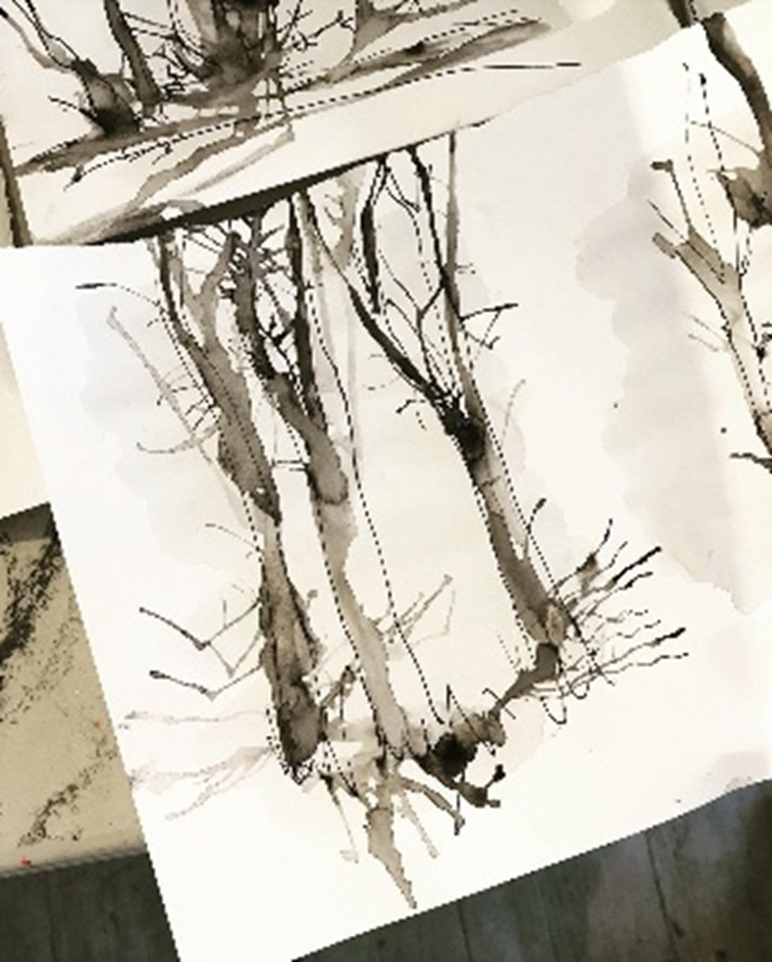 Sir Harold Hillier Gardens - Art Workshop - Winter Seasonal Drawing - Saturday 9th January 2027 - 10.00am