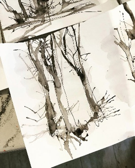 Sir Harold Hillier Gardens - Art Workshop - Winter Seasonal Drawing - Saturday 9th January 2027 - 10.00am