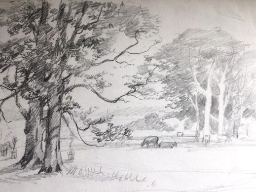 Sir Harold Hillier Gardens - Art Workshop - Exploring Drawing and Sketching for Beginners - Saturday 1st March 2025 - 10.00am