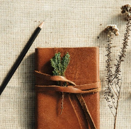 Sir Harold Hillier Gardens - Art Workshop - Nature Journaling - Saturday 3rd May 2025 - 10.00am