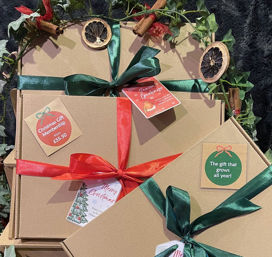 Membership to Sir Harold Hillier Gardens - JOINT - Christmas Gift Bundle