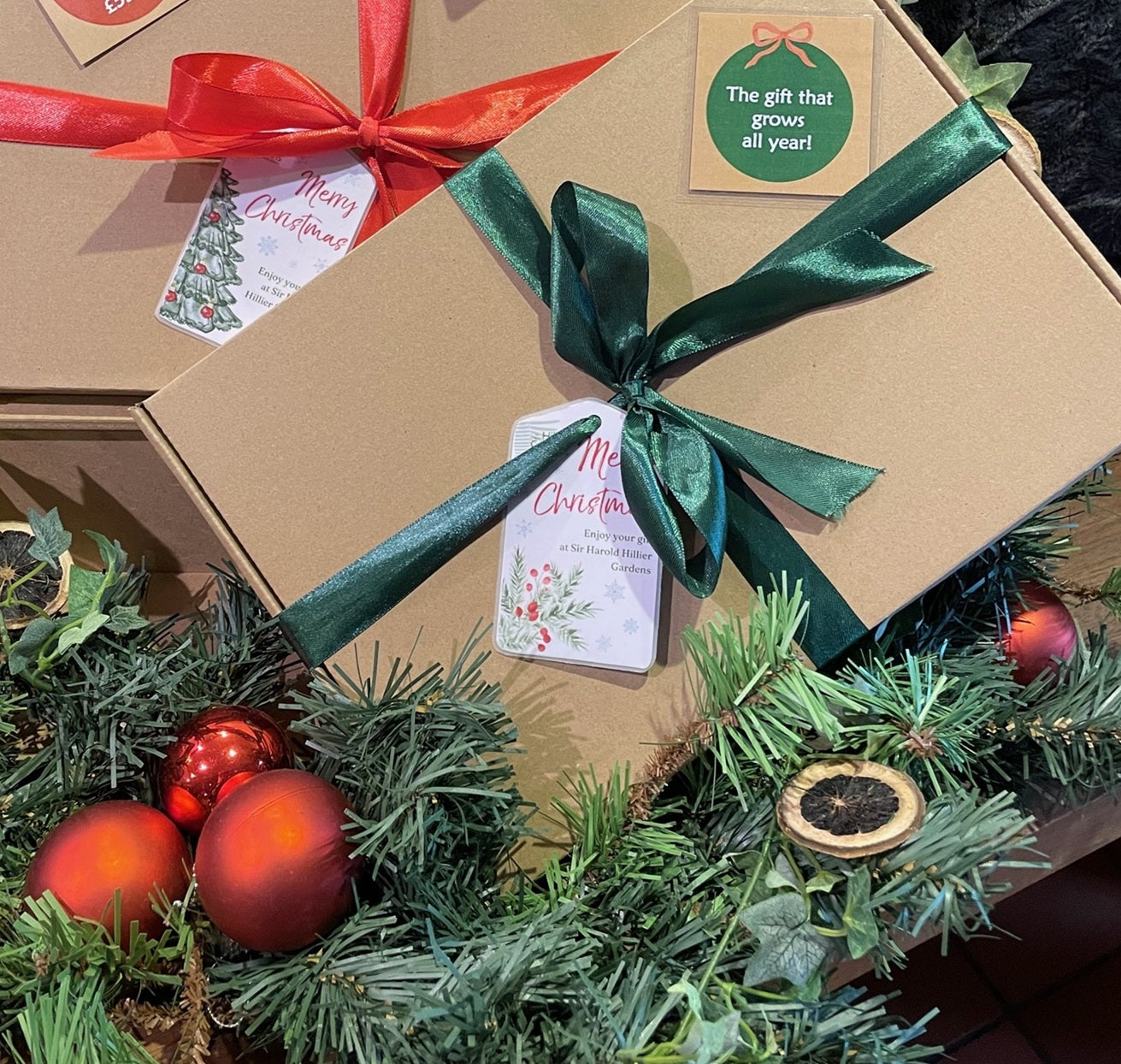 Membership to Sir Harold Hillier Gardens - SINGLE - Christmas Gift Bundle