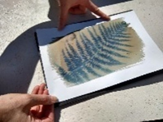 Sir Harold Hillier Gardens - Art Workshop - Cyanotype Blueprint - Saturday 6th June 2026 - 10.00am