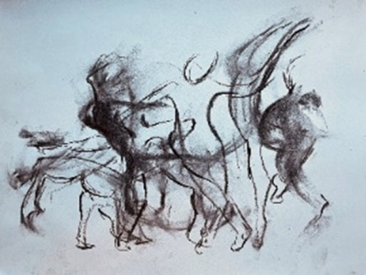 Sir Harold Hillier Gardens - Art Workshop - Drawing Movement - Saturday 7th February 2026 - 10.00am