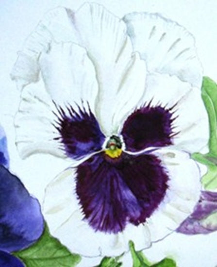 Sir Harold Hillier Gardens - Art Workshop - Introduction to Watercolour - Sunday 1st March 2026 - 10.00am