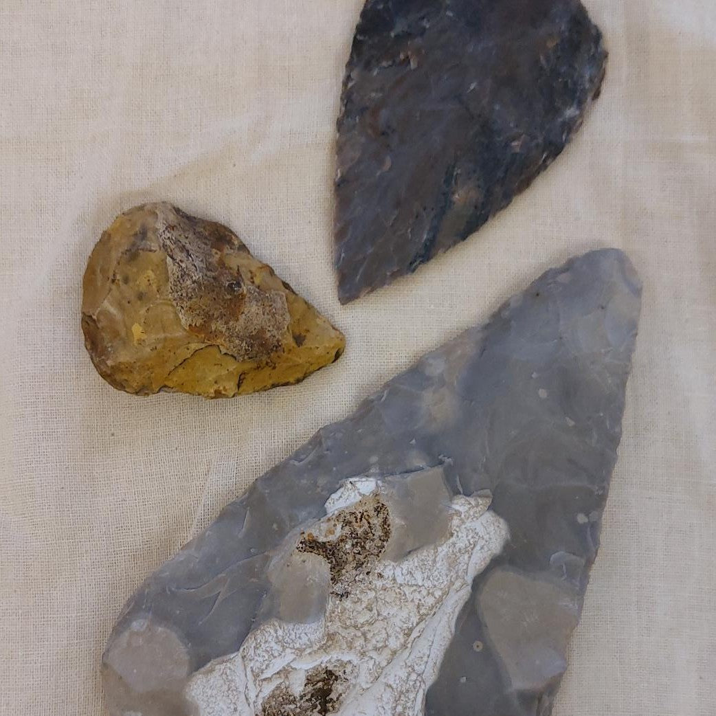 Sir Harold Hillier Gardens - Family Archaeology - Stone Age - Tuesday 17th February 2026 - 10.00am