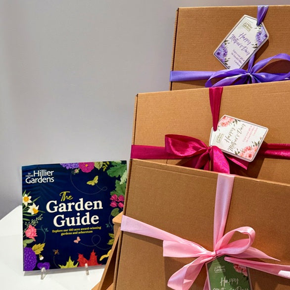 Membership to Sir Harold Hillier Gardens - SINGLE - Mother’s Day Gift Bundle