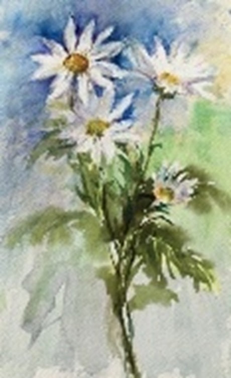 Sir Harold Hillier Gardens - Art Workshop - Watercolour Flowers for Beginners - Sunday 10th May 2026 - 10.00am