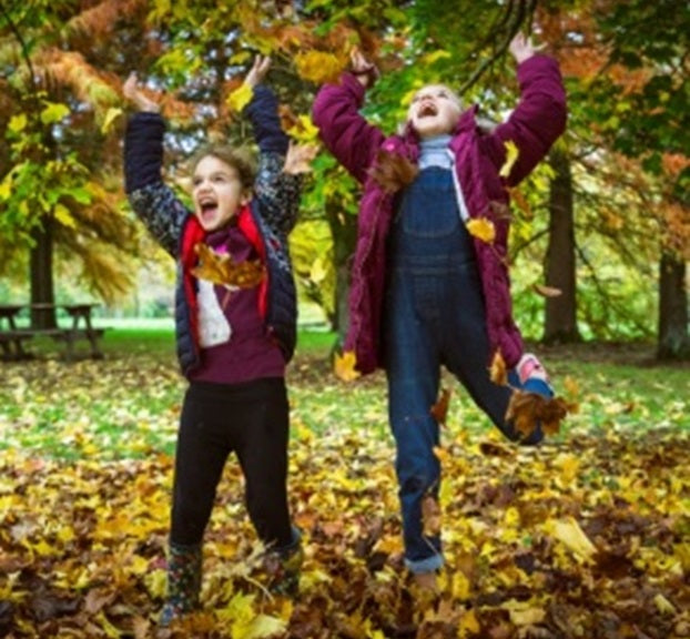 Sir Harold Hillier Gardens - Family Bushcraft in the Woods - Saturday 15th February 2025 - 10.15am