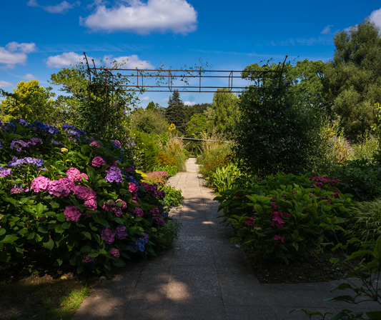 Sir Harold Hillier Gardens - September Evening Supper and Guided Tour - Thursday 3rd September 2026 - 6.30pm