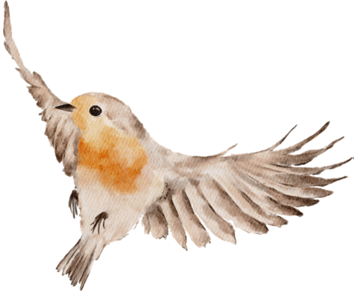 Festive Robins: Colour, Texture and Creativity - Tadley Library - Saturday 12th December 2026 - 10.00am
