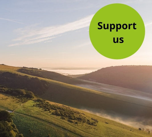 Support Queen Elizabeth Country Park with a donation