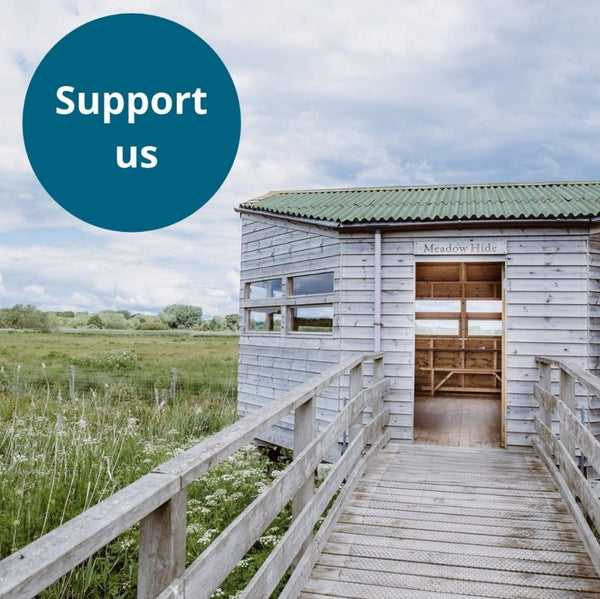 Support Titchfield Haven with a donation