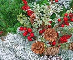Sir Harold Hillier Gardens - Natural Christmas Table Decorations - Workshop - Wednesday 13th December 2023