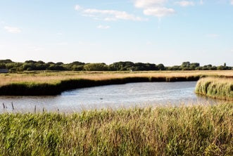 Titchfield Haven Nature Reserve - 6 Month Membership