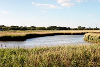 Titchfield Haven Nature Reserve - Annual Membership